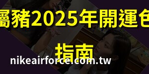 屬豬的幸運色